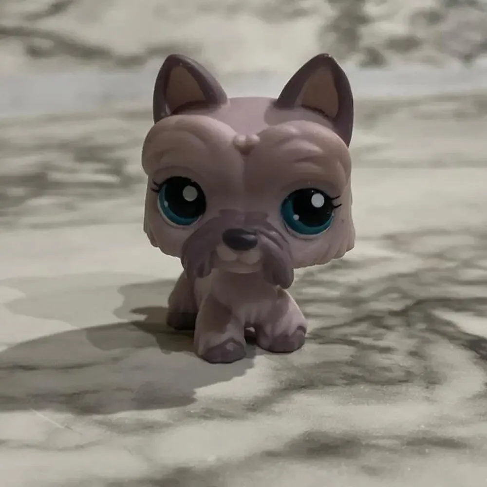 Littlest pet shop scottie